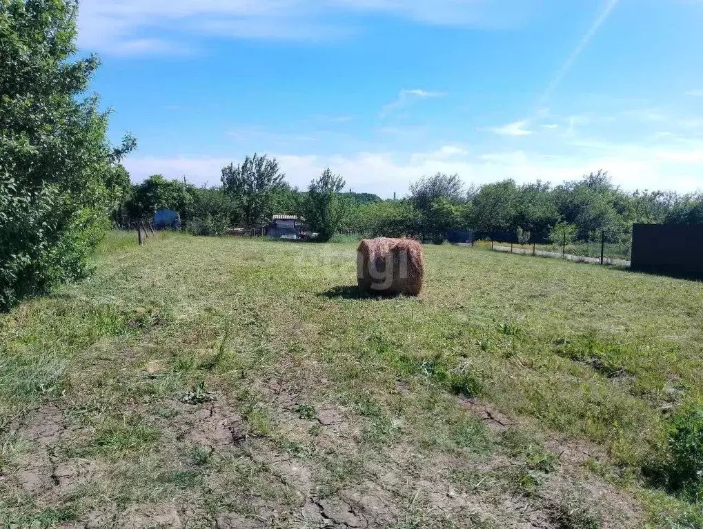 Участок в Белгородская область, Белгородский район, Разумное рп, ... - Фото 0