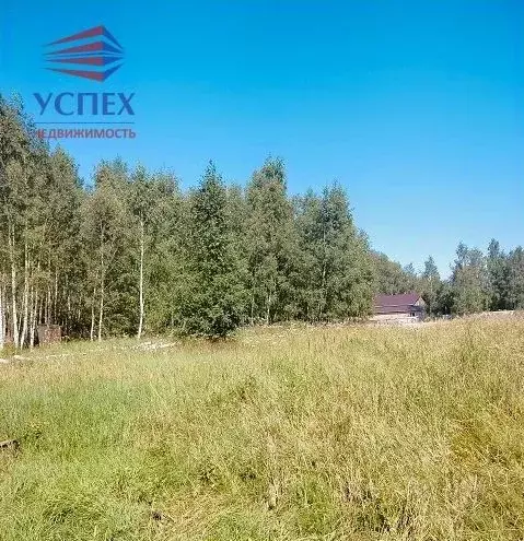 Участок в Московская область, Раменский муниципальный округ, Великие ... - Фото 1