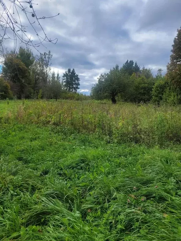 Участок в Псковская область, Гдов городское поселение, д. Задубье  ... - Фото 1