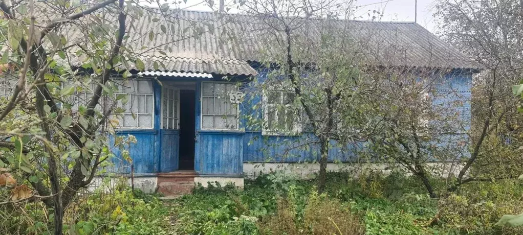 Дом в Рязанская область, Александро-Невский район, Каширинское с/пос, ... - Фото 0