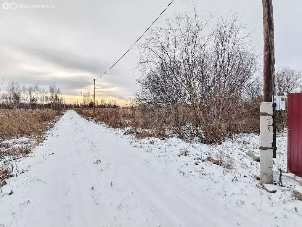 Участок в Тюменская область, Нижнетавдинский муниципальный округ, ... - Фото 1