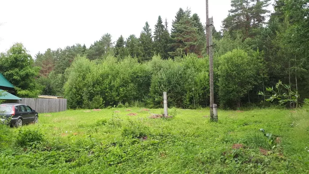 Участок в Пермский край, Добрянский муниципальный округ, СНТ Ветеран-2 ... - Фото 2