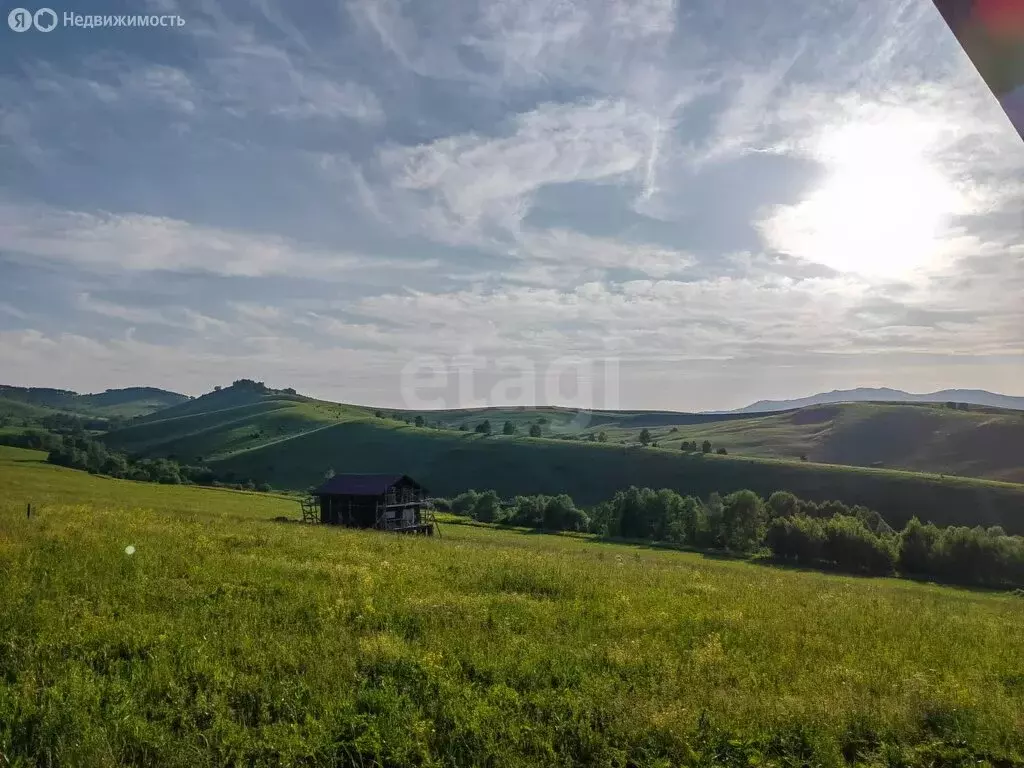 Участок в Алтайский район, ДНТ Жемчужина Алтая (10 м) - Фото 0