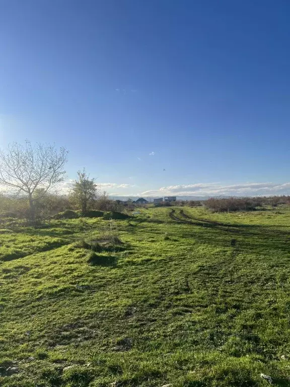 Участок в Кабардино-Балкария, Чегемский район, с. Шалушка ул. Имени ... - Фото 1