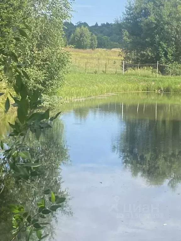 Участок в Чувашия, Моргаушский муниципальный округ, д. Максикасы ул. ... - Фото 1