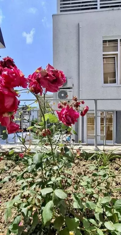 Коттедж в Краснодарский край, Сочи Светлана мкр, ул. Лысая Гора, 37/1 ... - Фото 1