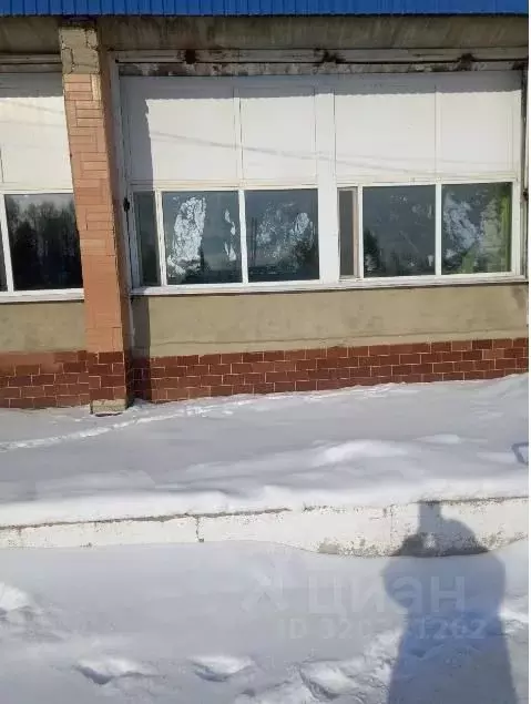 Помещение свободного назначения в Саратовская область, Лысогорское ... - Фото 1