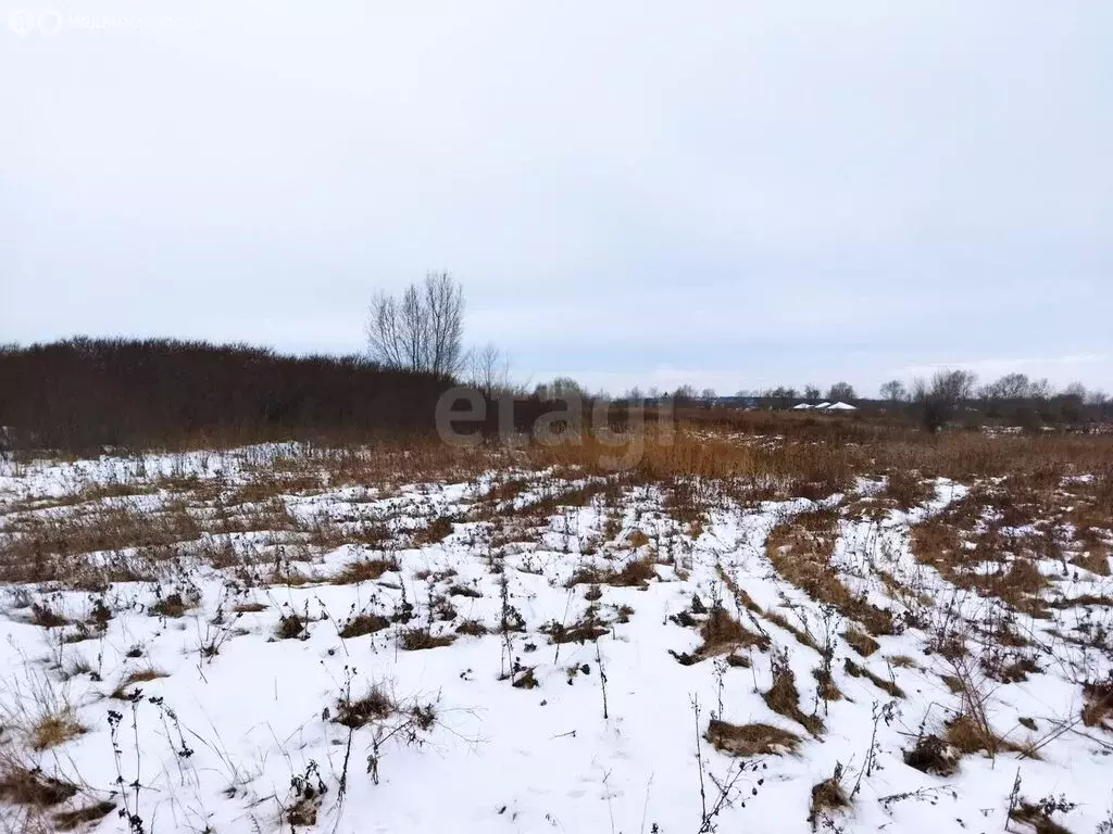 Участок в Красноярский край, Минусинский муниципальный округ, посёлок ... - Фото 2