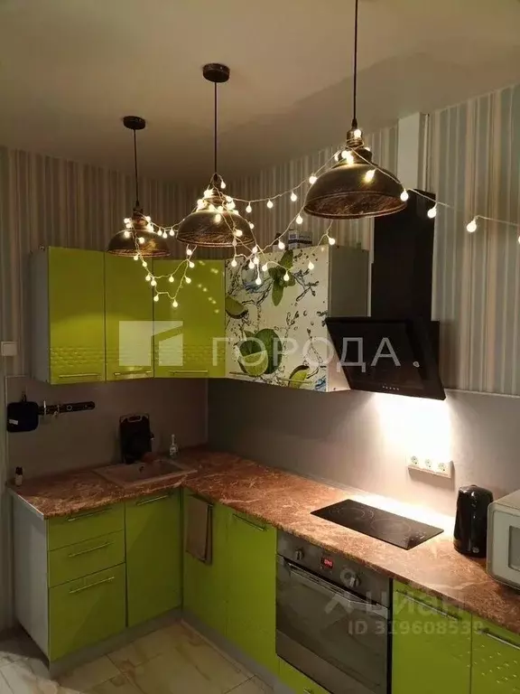 2-к кв. Новосибирская область, Новосибирск ул. Красина, 56 (45.0 м) - Фото 0