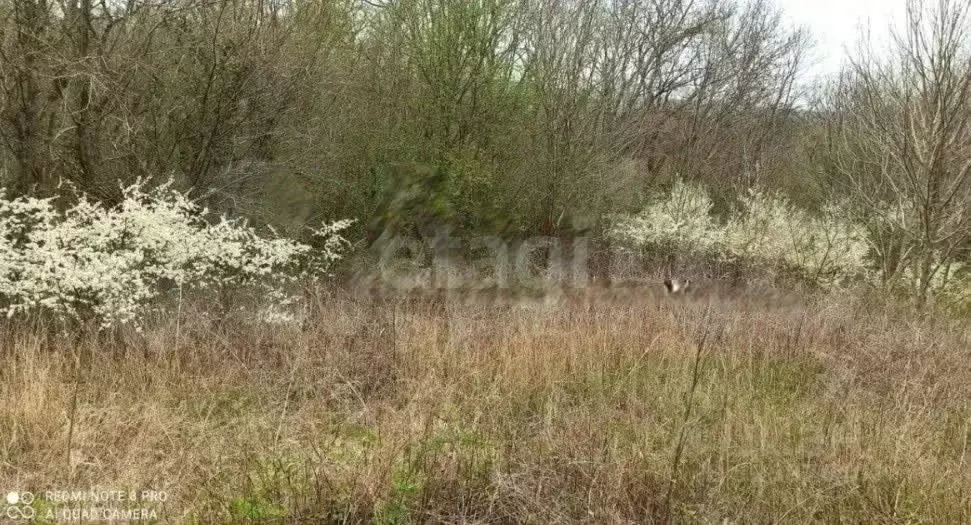 Участок в Краснодарский край, Новороссийск городской округ, Горный ... - Фото 2