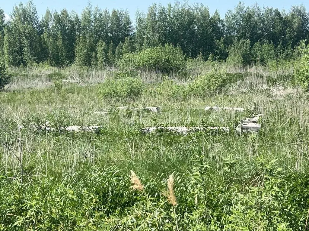 Участок в Тюменская область, Тюменский район, с. Червишево ул. ... - Фото 1