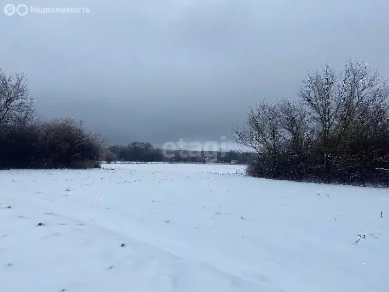 Участок в Тамбовская область, Гавриловский муниципальный округ, село ... - Фото 1
