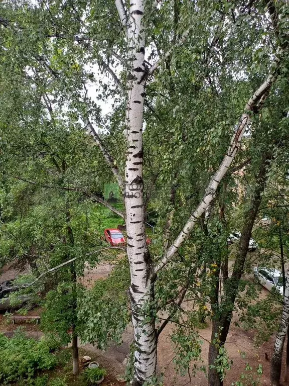 2-к. квартира, 42 м, 4/4 эт. - Фото 0
