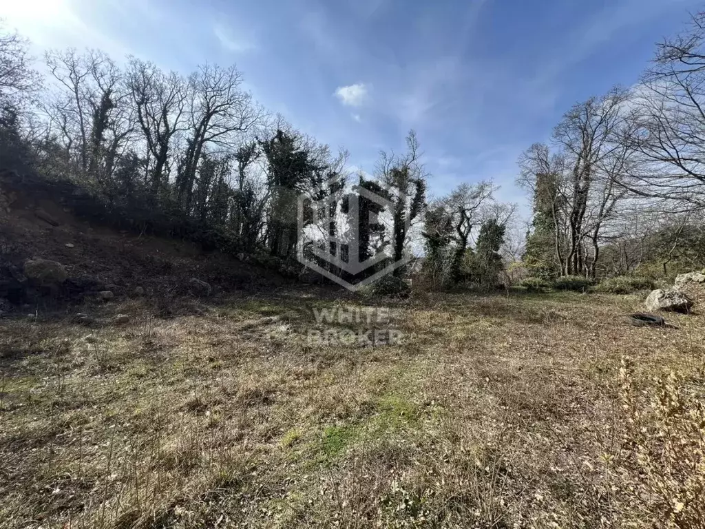 Участок в Крым, Ялта муниципальный округ, Голубой Залив пгт ул. Шайна ... - Фото 1