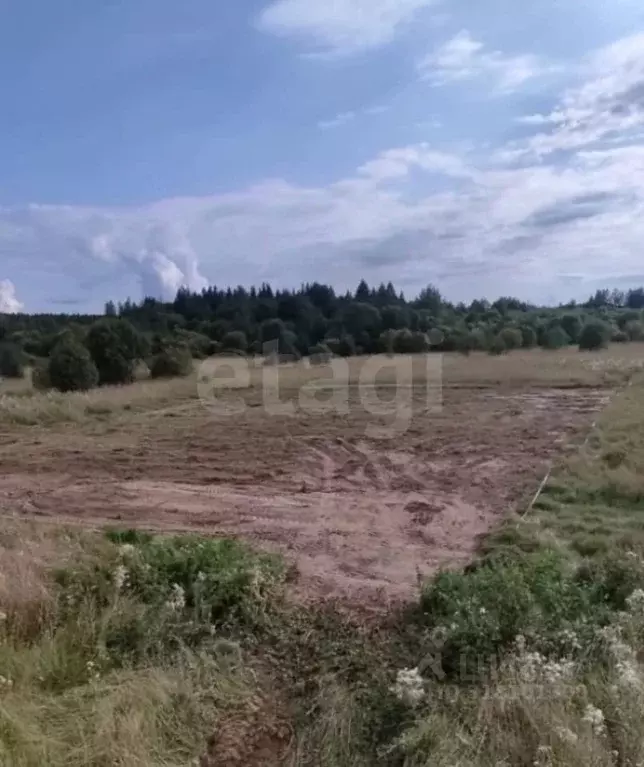 Участок в Вологодская область, Шекснинский район, с. Чуровское  (14.2 ... - Фото 1