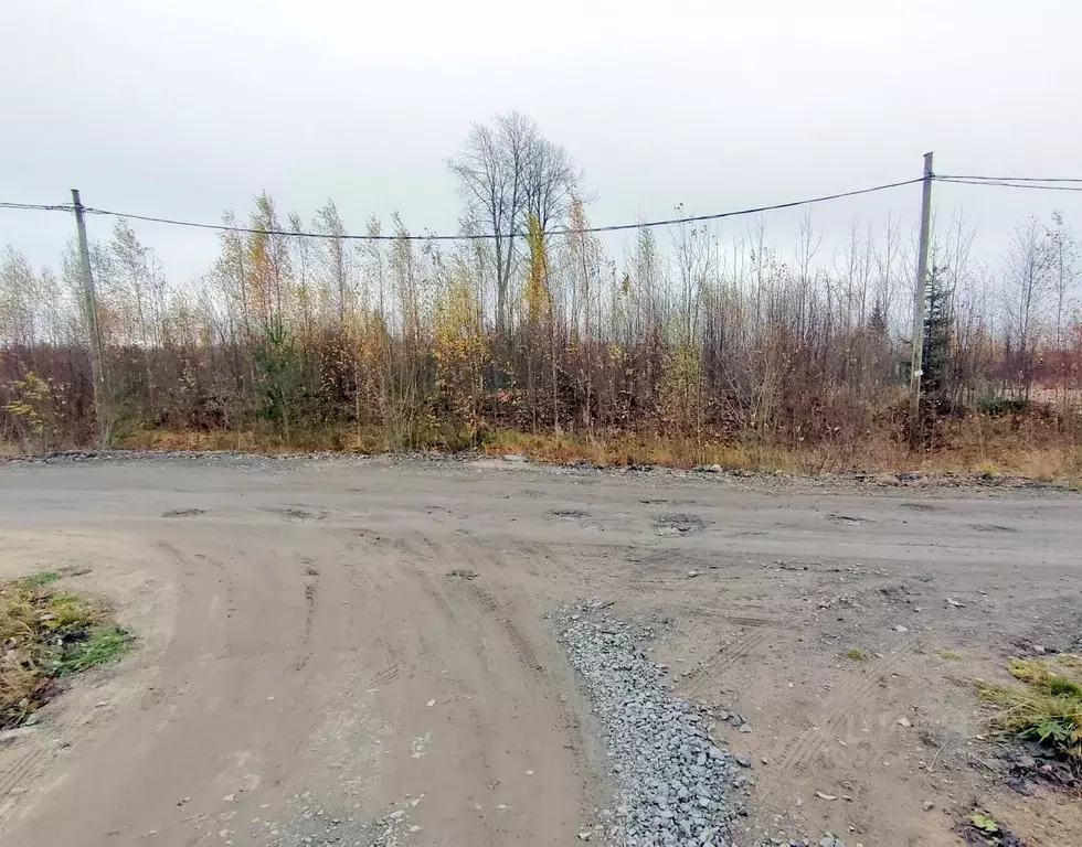 Участок в Карелия, Петрозаводск ул. Алексея Фофанова (10.0 сот.) - Фото 2