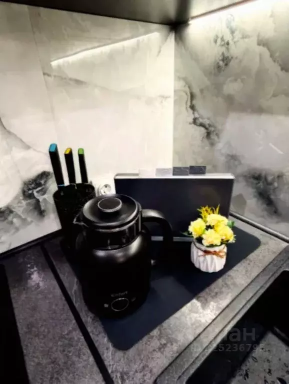 Студия Татарстан, Казань ул. Петра Полушкина, 1 (31.0 м) - Фото 2