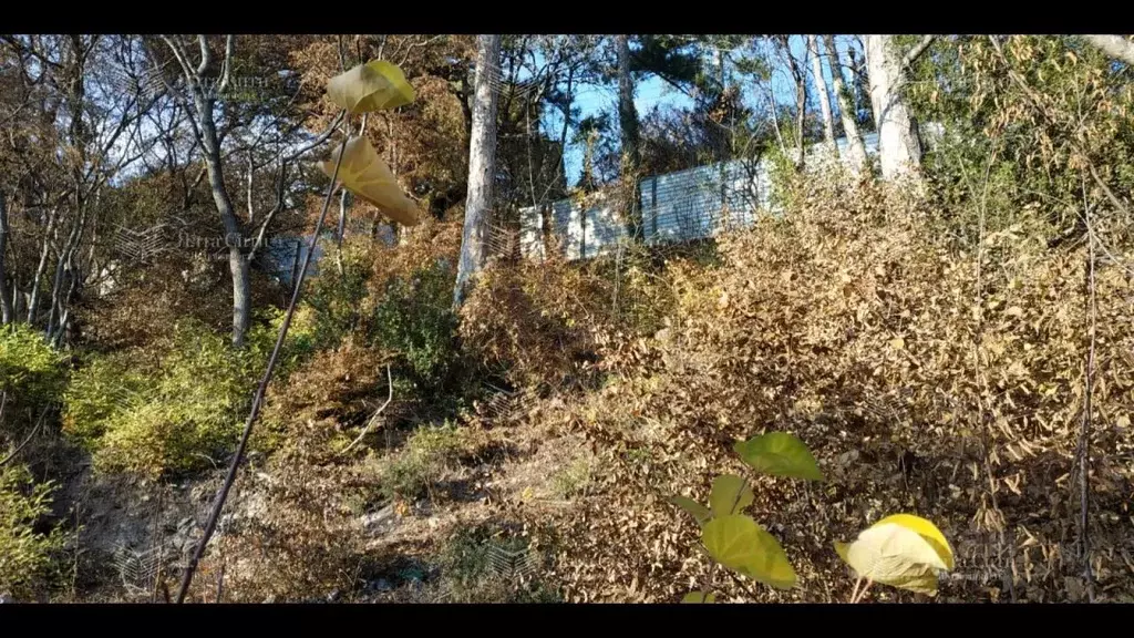 Участок в Крым, Ялта ул. К. Маркса (15.0 сот.) - Фото 1