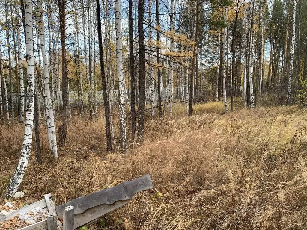 Участок в Свердловская область, Дегтярск  (10.0 сот.) - Фото 0