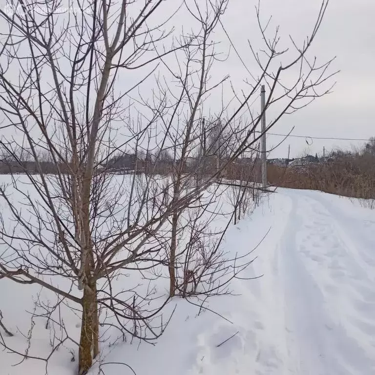 Участок в деревня Малая Шильна, улица Ивана Мозгутеева (11 м) - Фото 1