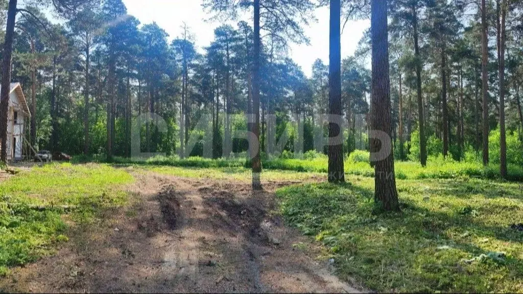 Участок в Новосибирская область, Новосибирский район, Мочищенский ... - Фото 1