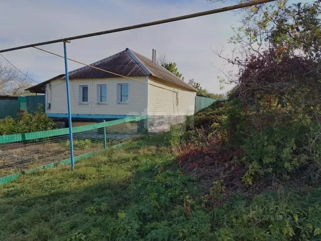 Дом в Белгородская область, Новооскольский муниципальный округ, ... - Фото 1