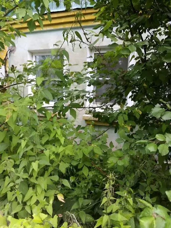 Дом в Тверская область, Тверь Линейная ул. (70 м) - Фото 1