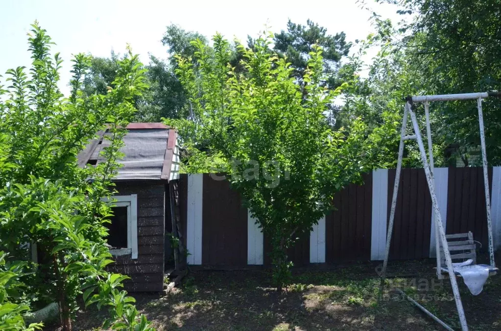 Дом в Амурская область, Ивановский муниципальный округ, с. Богородское ... - Фото 1