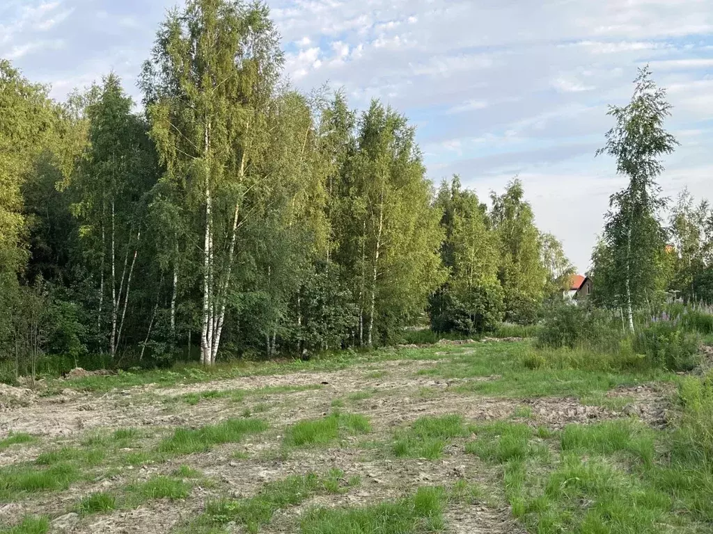 Участок в Московская область, Химки Клязьма-Старбеево мкр, Вашутино ... - Фото 1