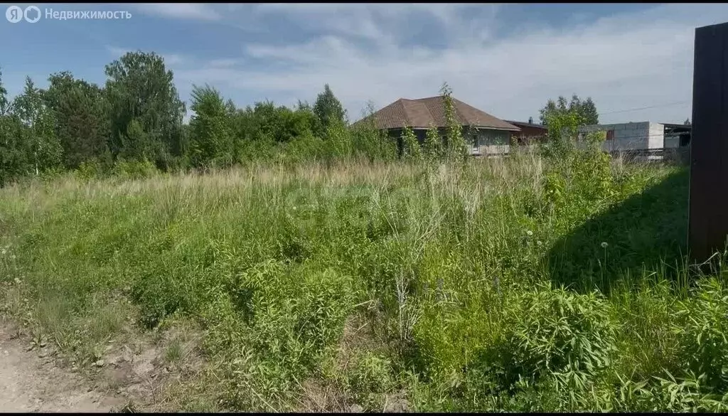 Участок в Искитимский район, Мичуринский сельсовет, дачное ... - Фото 1