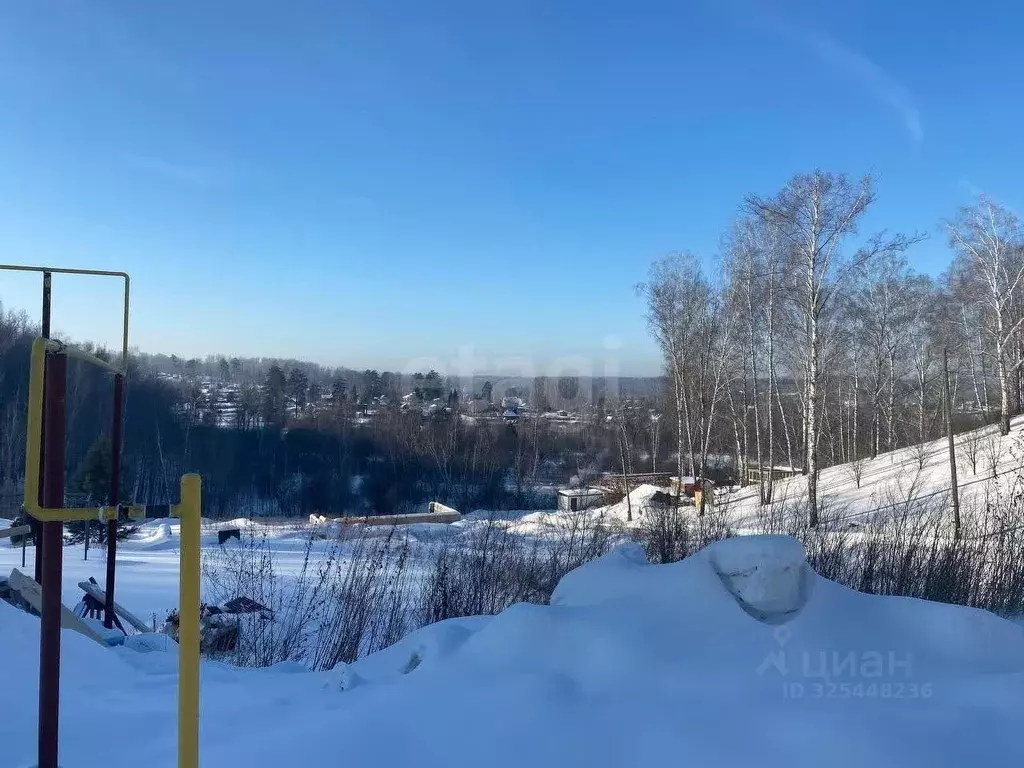 Участок в Новосибирская область, Новосибирский район, Барышевский ... - Фото 1