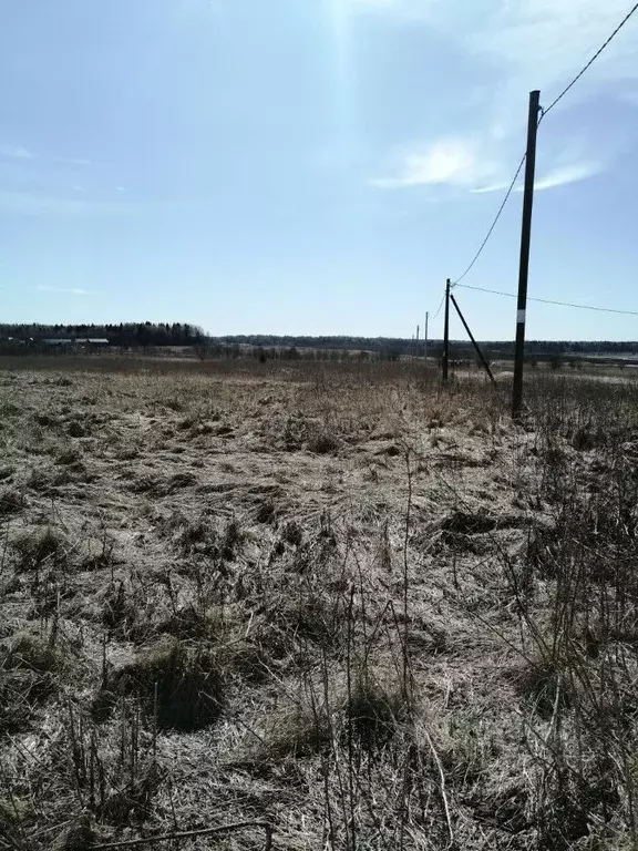 Участок в Вологодская область, пос. Грибково  (15.0 сот.) - Фото 1
