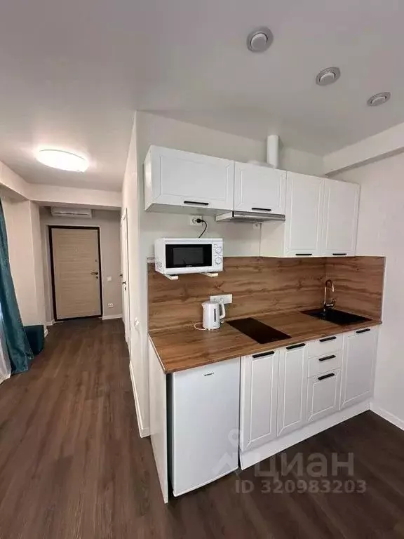 Студия Краснодарский край, Сочи городской округ, с. Черешня ул. ... - Фото 1