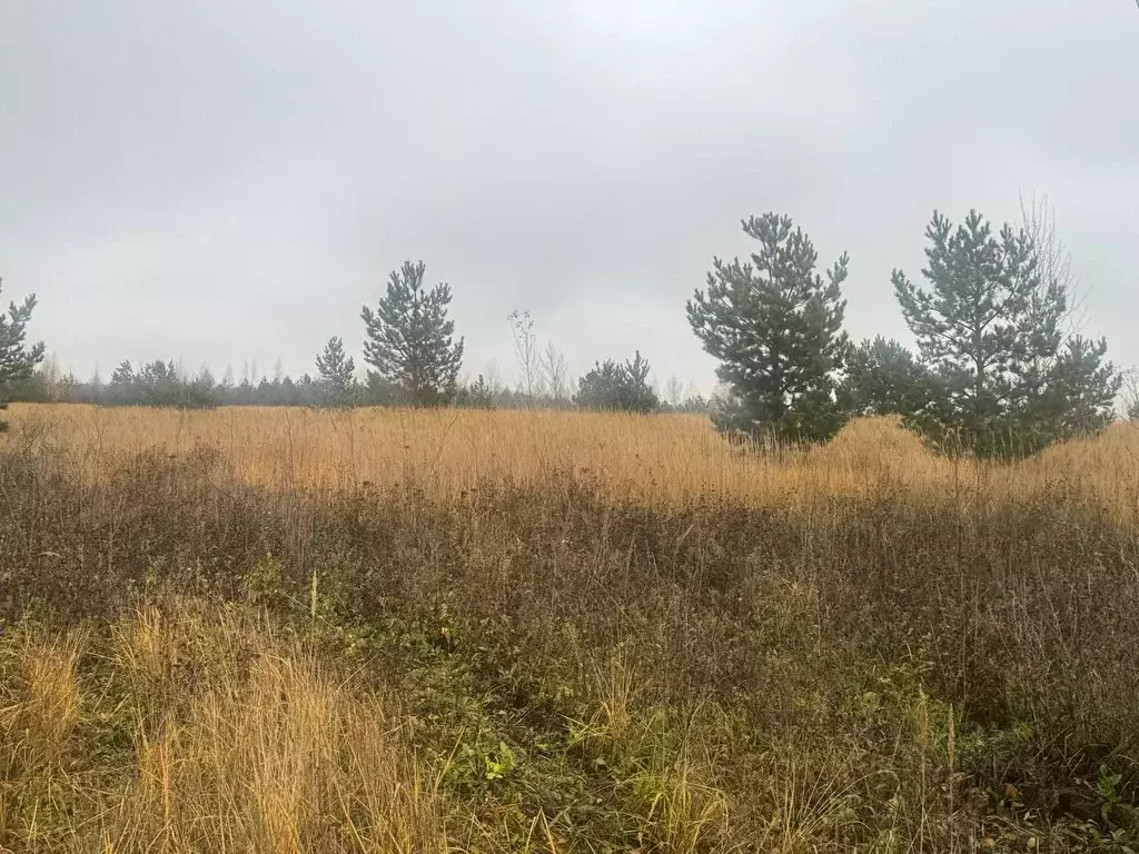 Участок в Татарстан, Высокогорский район, Дачное с/пос, д. Яшь Кеч ул. ... - Фото 1