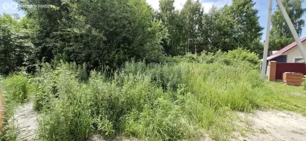 Участок в Новосибирск, Горнолыжная улица (9.29 м) - Фото 1