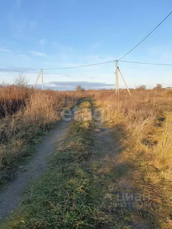 Участок в Калининградская область, Светловский городской округ, пос. ... - Фото 1