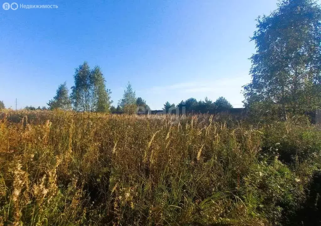 Участок в Раменское, КП Дергаево-3 (7.7 м) - Фото 1