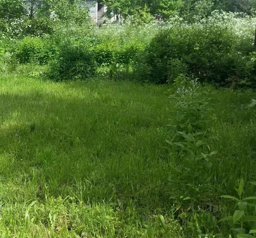 Участок в Новгородская область, Новгородский район, Савинское с/пос, ... - Фото 1