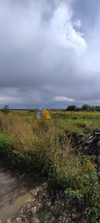 Участок в Тульская область, Тула городской округ, д. Тихвинка  (10.0 ... - Фото 2