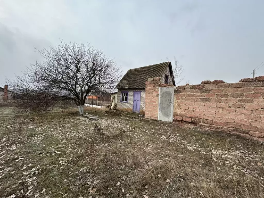 Дом в Ростовская область, Белая Калитва Колхозная ул. (20 м) - Фото 1
