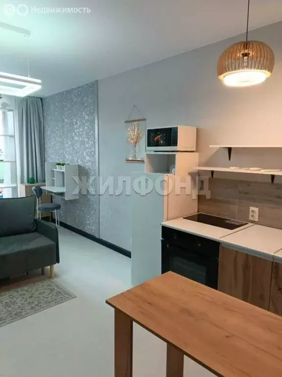 Квартира-студия: Новосибирск, улица Забалуева, 92 (25 м) - Фото 1