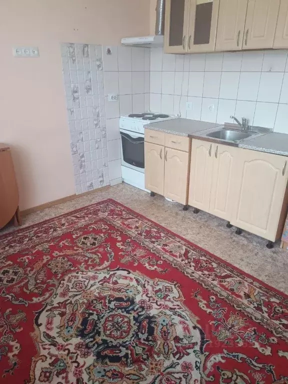 Студия Новосибирская область, Новосибирск ул. Одоевского, 1/2 (18.8 м) - Фото 1
