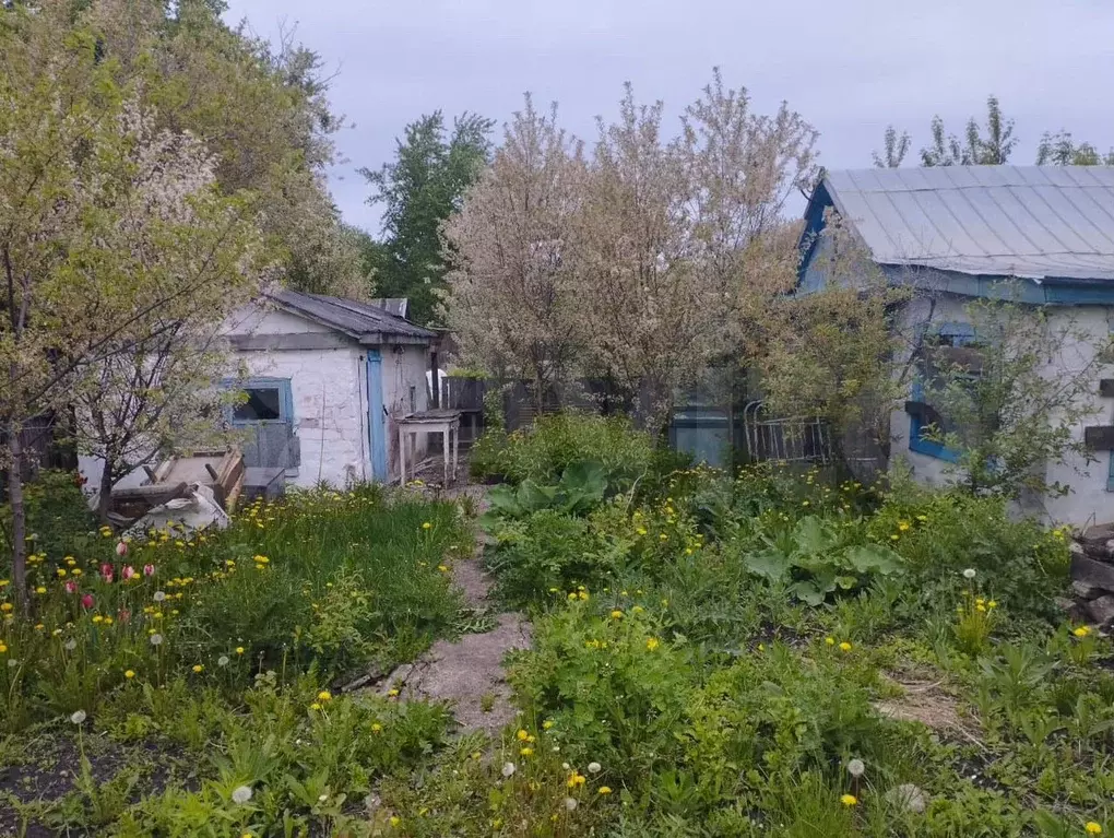 Участок 4,28 га (СНТ, ДНП) - Фото 1