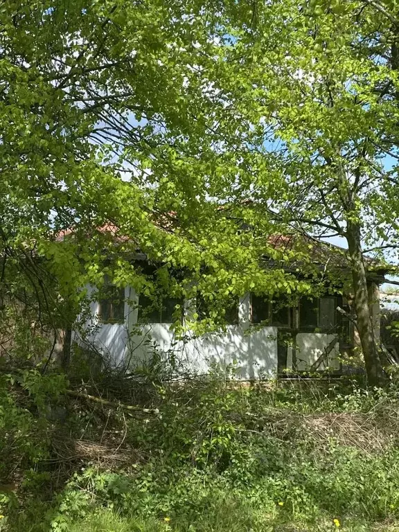 Участок в Московская область, Кашира городской округ, пос. Большое ... - Фото 0