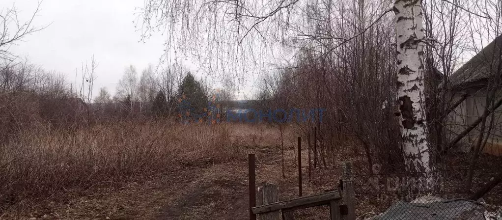Участок в Нижегородская область, Нижний Новгород с. Кадницы, Западный ... - Фото 1