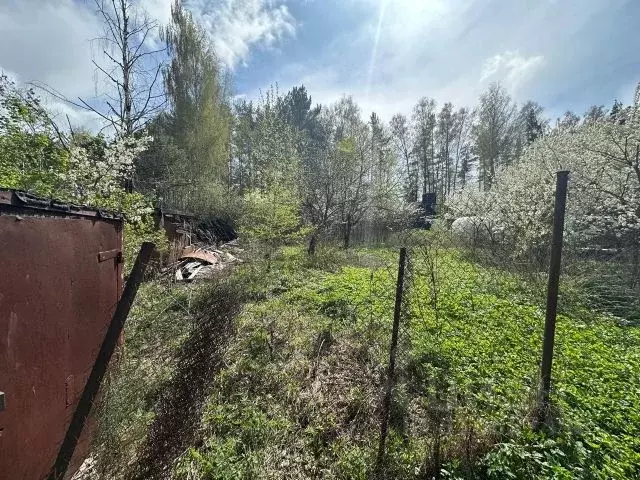 Участок в Московская область, Богородский городской округ, Сосновый ... - Фото 0