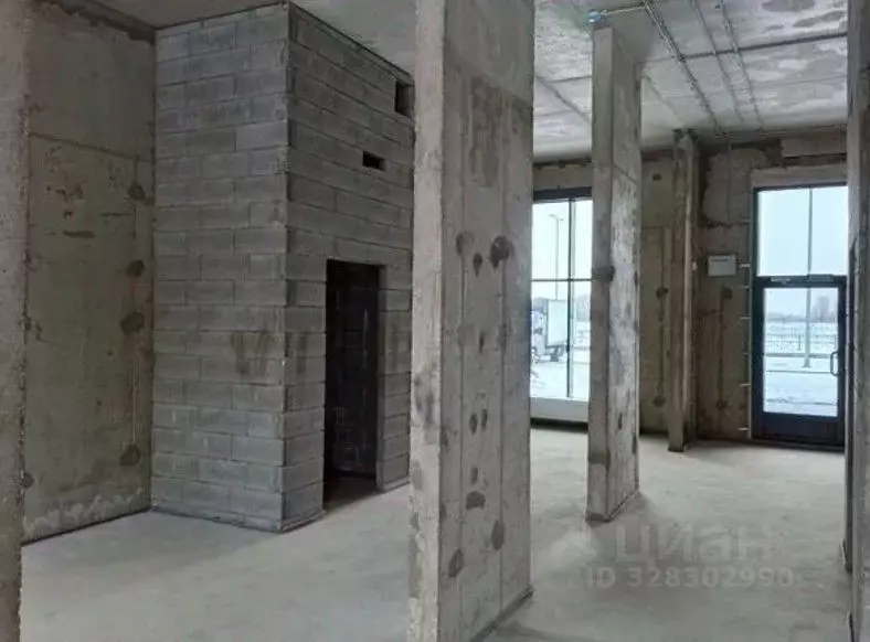 Помещение свободного назначения в Санкт-Петербург пос. Шушары, ул. ... - Фото 2