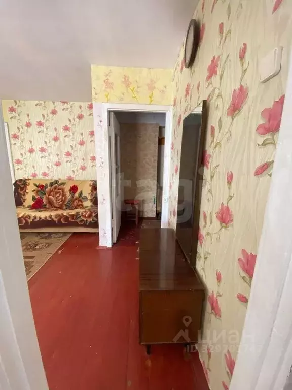 1-к кв. Ленинградская область, Волхов Волгоградская ул., 5 (33.1 м) - Фото 1