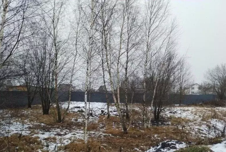 Участок в Московская область, Дмитровский муниципальный округ, д. ... - Фото 0