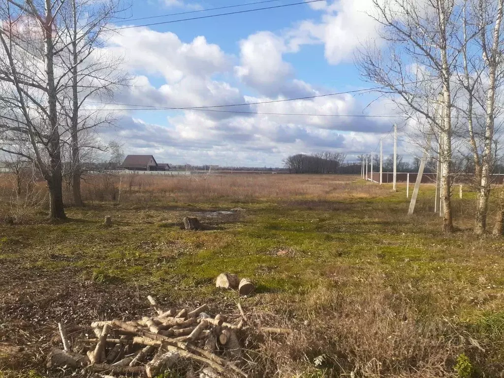 Погода в плясово снежково. Плясово Снежково Воронежская область.